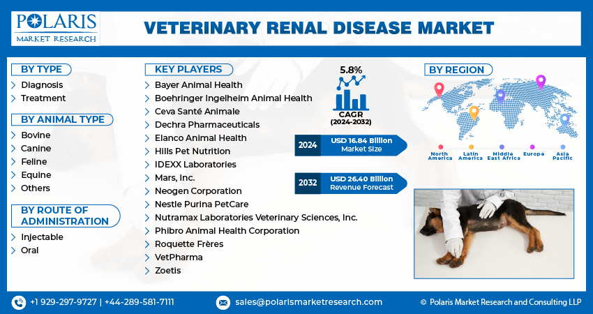 Veterinary Renal Disease